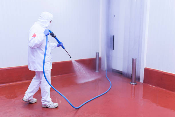  Wayne Heights, PA Pressure Washing Pros