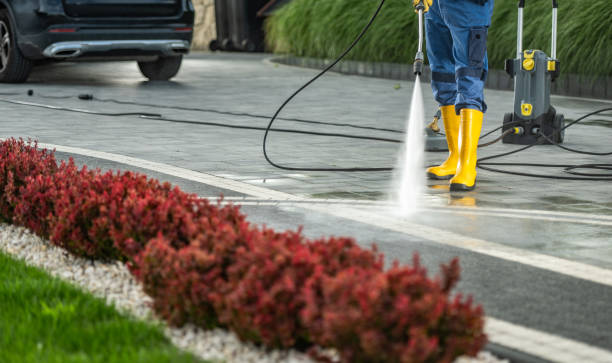 Best Sidewalk and Walkway Cleaning  in Wayne Heights, PA